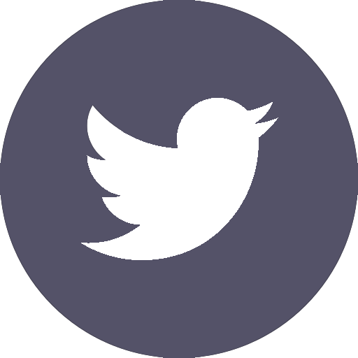 twitter icon